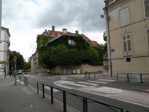  Maison couverte de lierre, rue Baron Louis